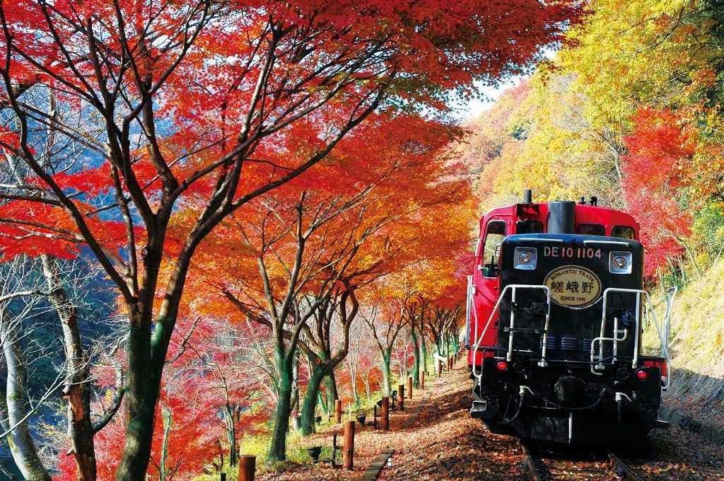 scenic rail journeys japan