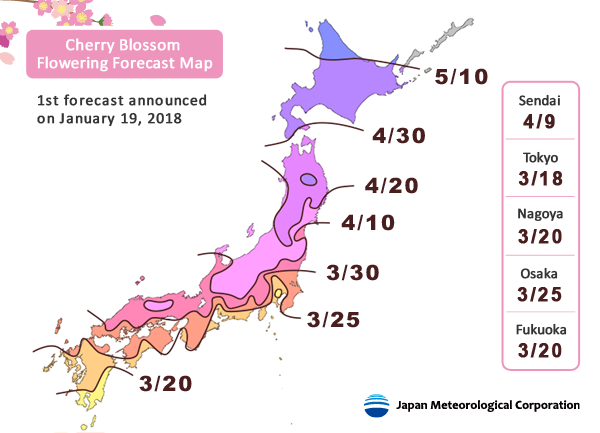 2018 Japan Cherry Blossom Forecast Japan Rail Pass Blog