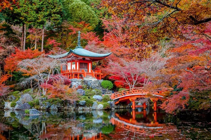 Autumn Colors in Japan 2019 Fall Foliage Forecast Japan Rail Pass