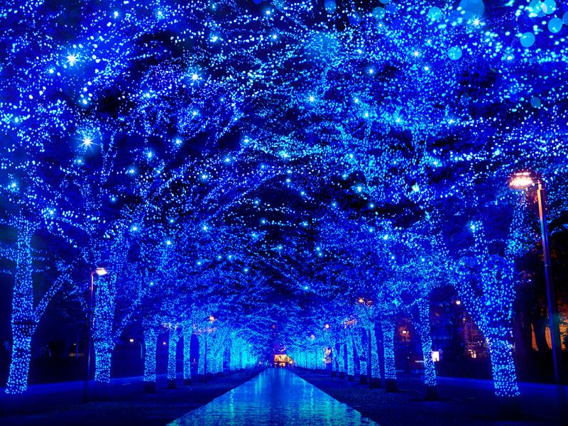Best Japanese Winter Illuminations