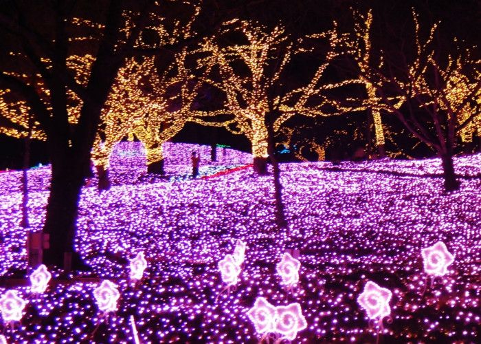 japanese christmas lights