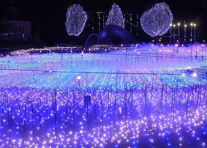 Tokyo Starlight Garden winter illumination