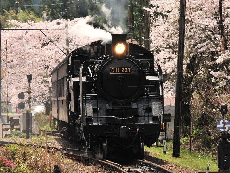 Top 10 Steam Trains in Japan - Japan Rail Pass