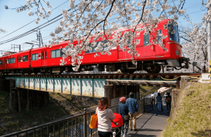big-eye-train-japan